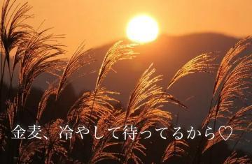 秋は夕暮れ♡