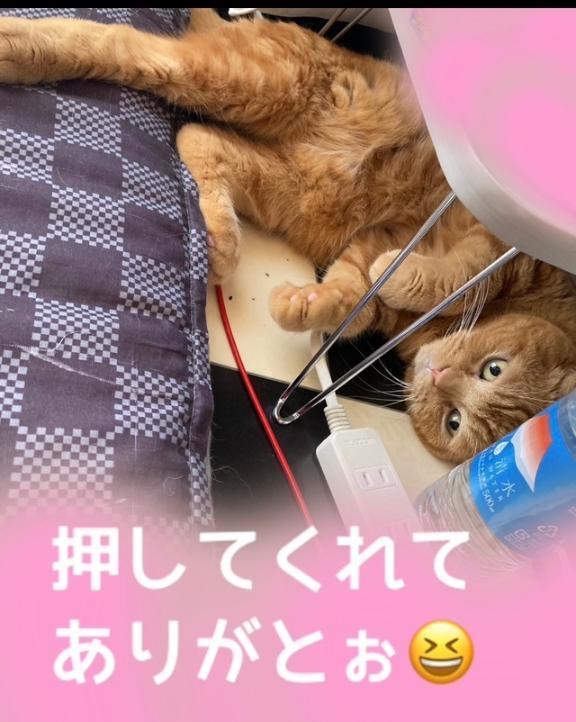 美容院の下りは夜に<img class="emojione" alt="🤗" title=":hugging:" src="https://fuzoku.jp/assets/img/emojione/1f917.png"/>＆3/19日分見たよありがとぉ<img class="emojione" alt="😆" title=":laughing:" src="https://fuzoku.jp/assets/img/emojione/1f606.png"/><img class="emojione" alt="✨" title=":sparkles:" src="https://fuzoku.jp/assets/img/emojione/2728.png"/>