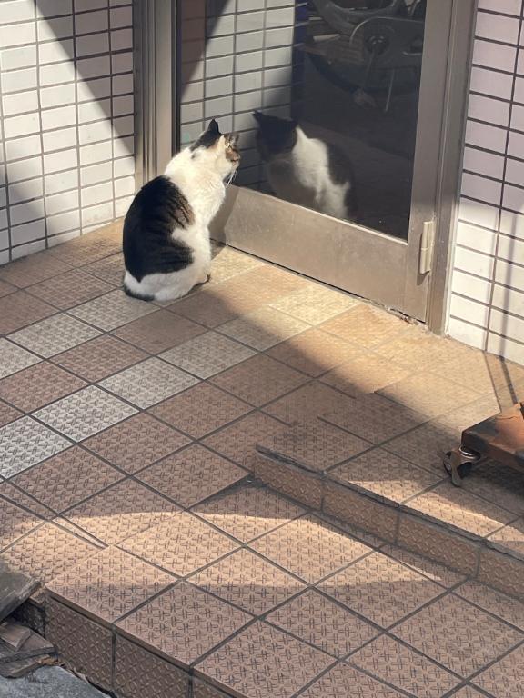 お散歩<img class="emojione" alt="🚶" title=":person_walking:" src="https://fuzoku.jp/assets/img/emojione/1f6b6.png"/>‍♀