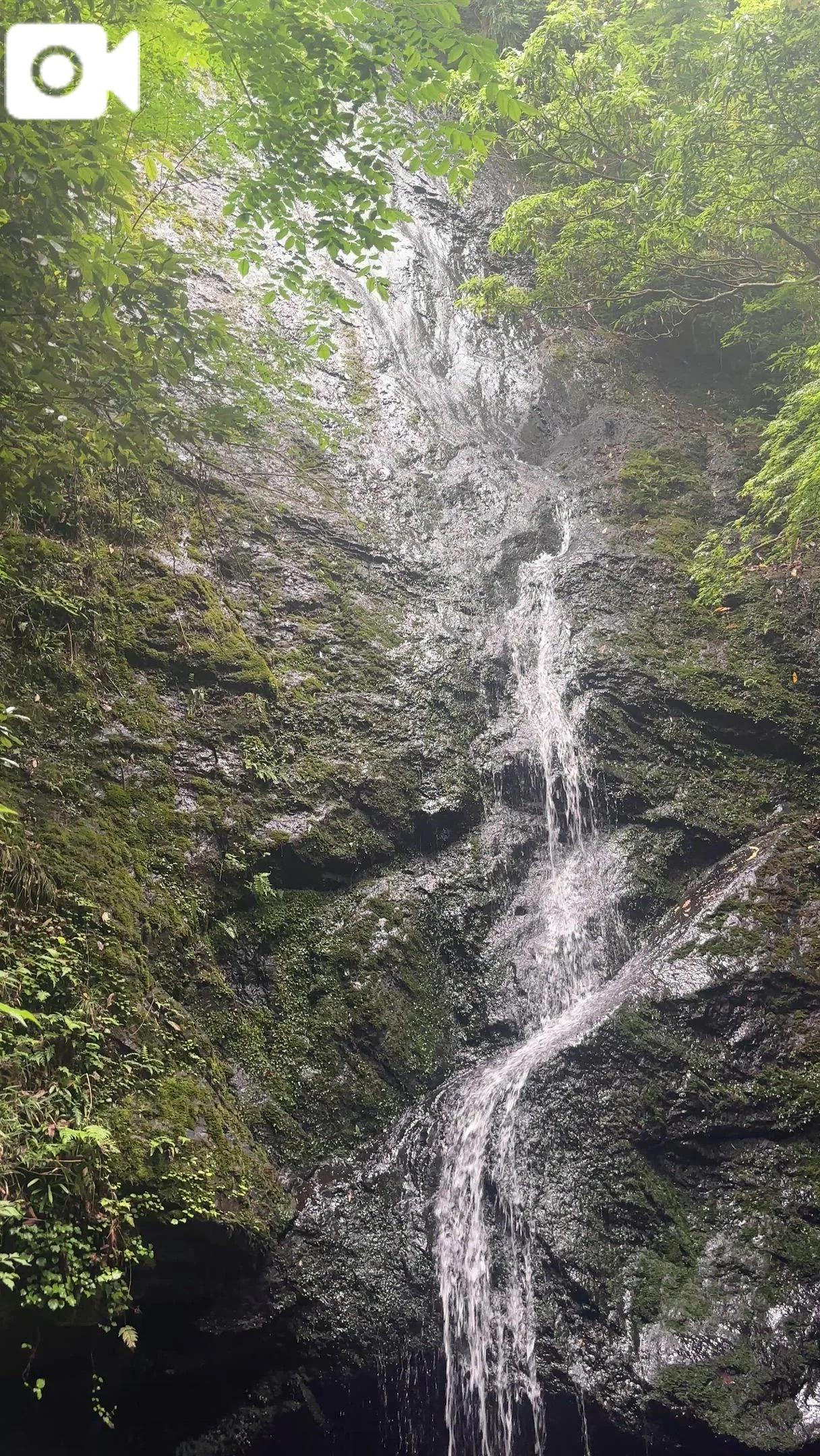 京都の琴滝<img class="emojione" alt="🌱" title=":seedling:" src="https://fuzoku.jp/assets/img/emojione/1f331.png"/>