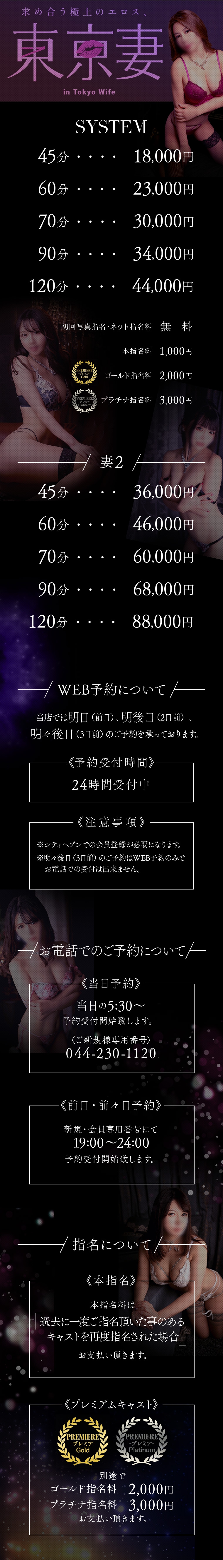 東京妻(京都ｸﾞﾙｰﾌﾟ)＿料金システム1
