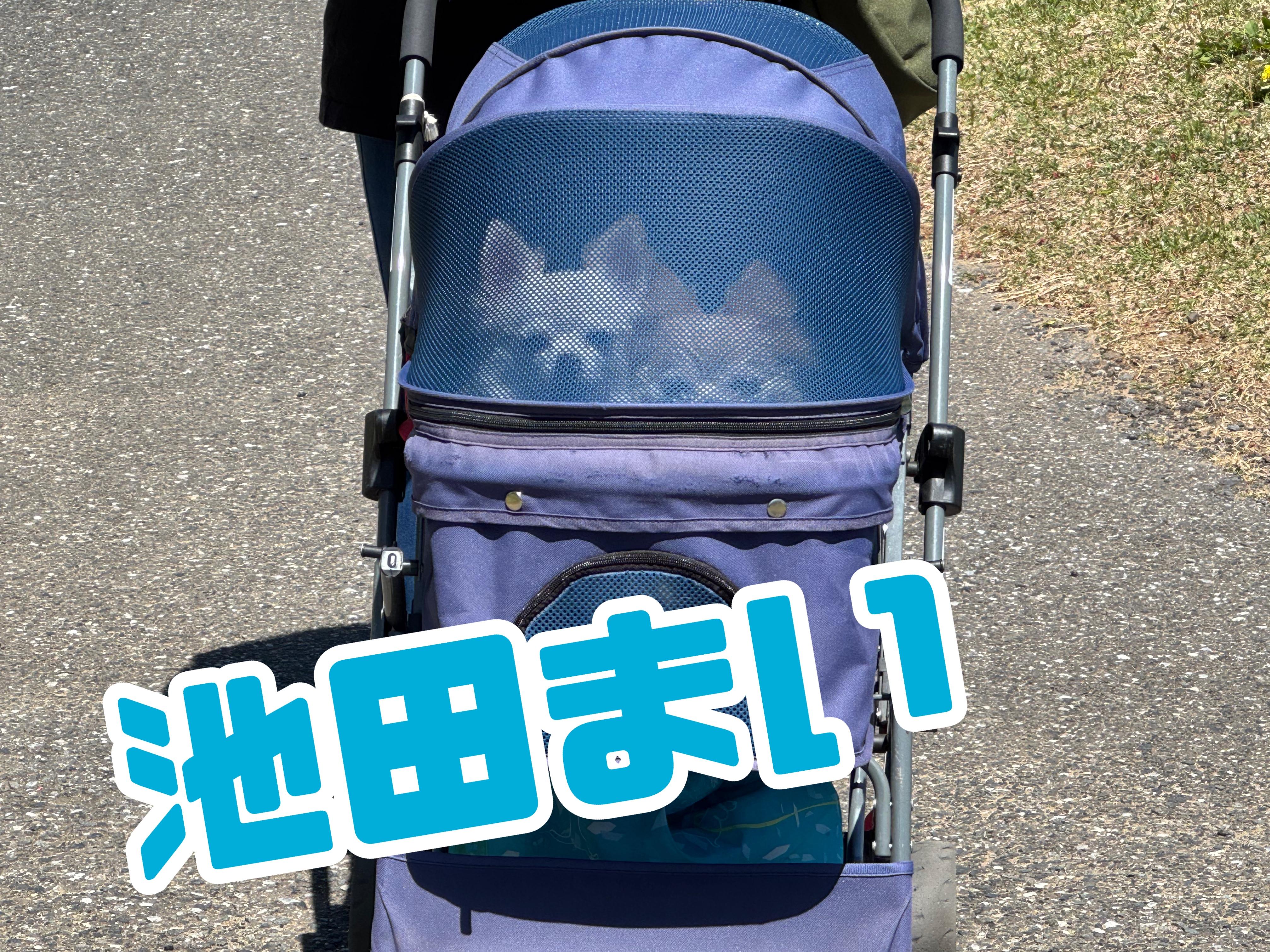 明日出勤<img class="emojione" alt="❣️" title=":heart_exclamation:" src="https://fuzoku.jp/assets/img/emojione/2763.png"/>