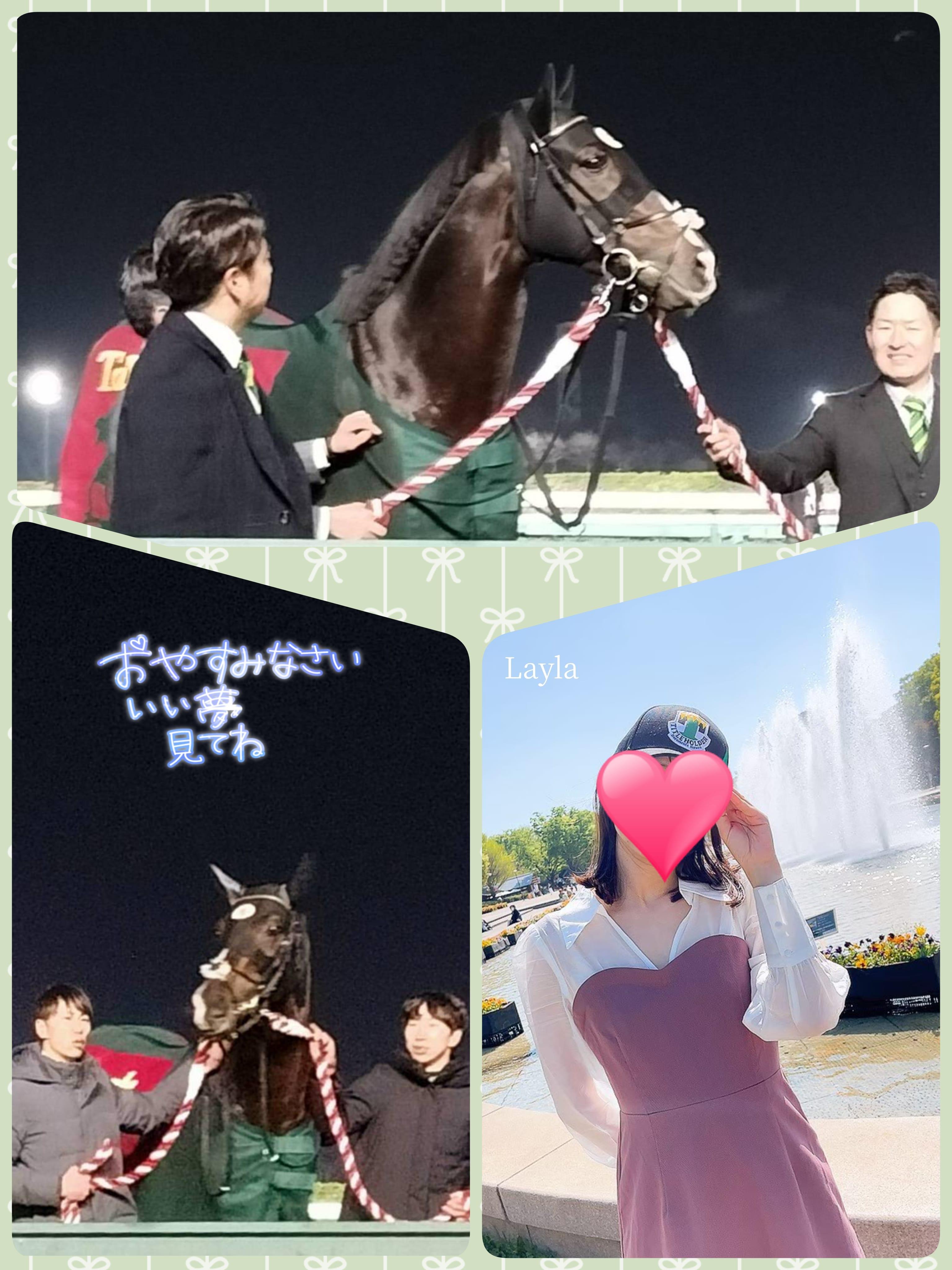 【私の競馬熱をパワーアップするきっかけの名馬