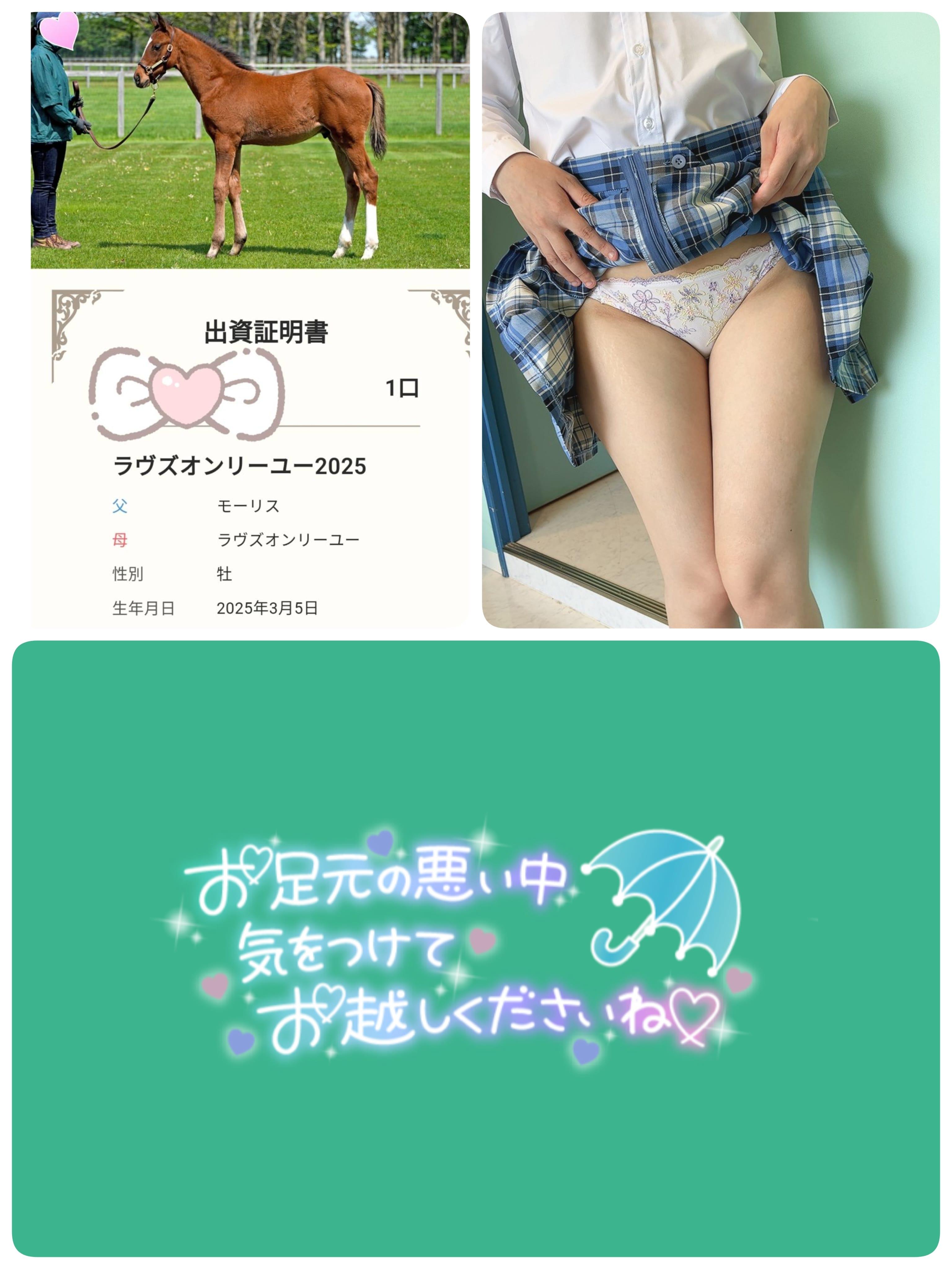 【今年も出資しました