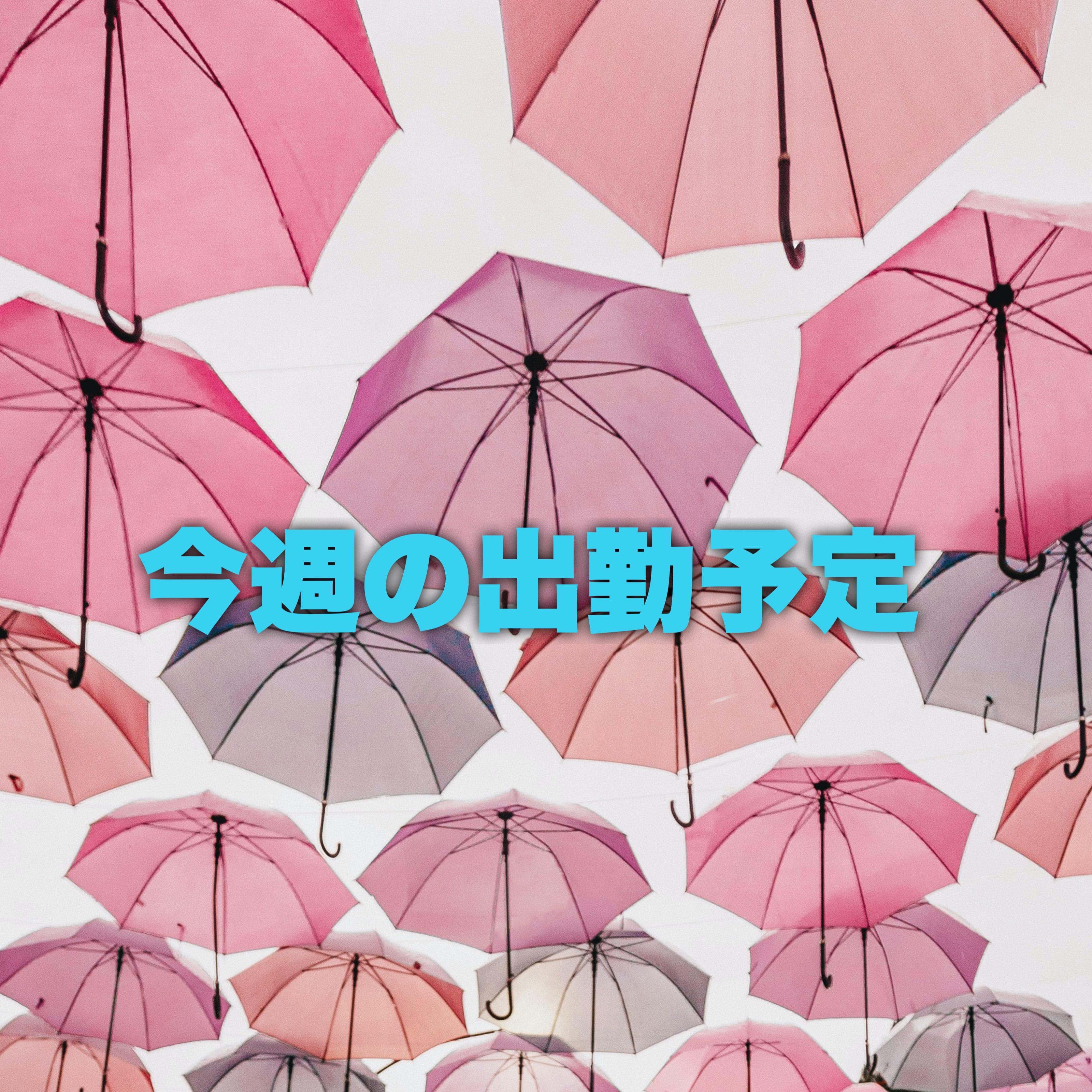 今週の出勤予定♪