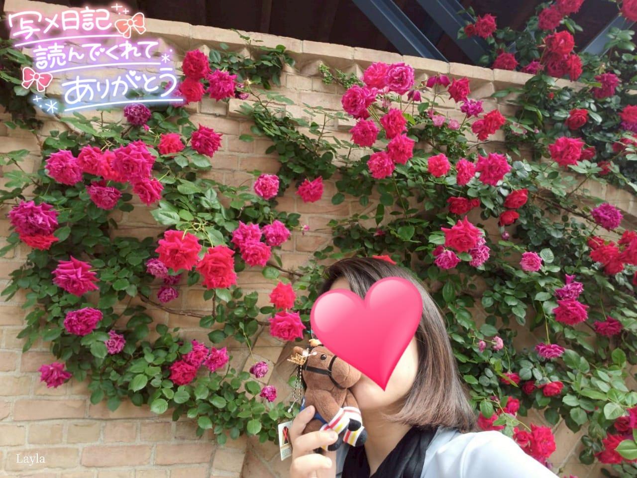 【セブンのスムージーと同じくらい好き