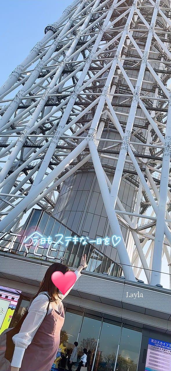 【マーメイドステークスから生まれ変わった