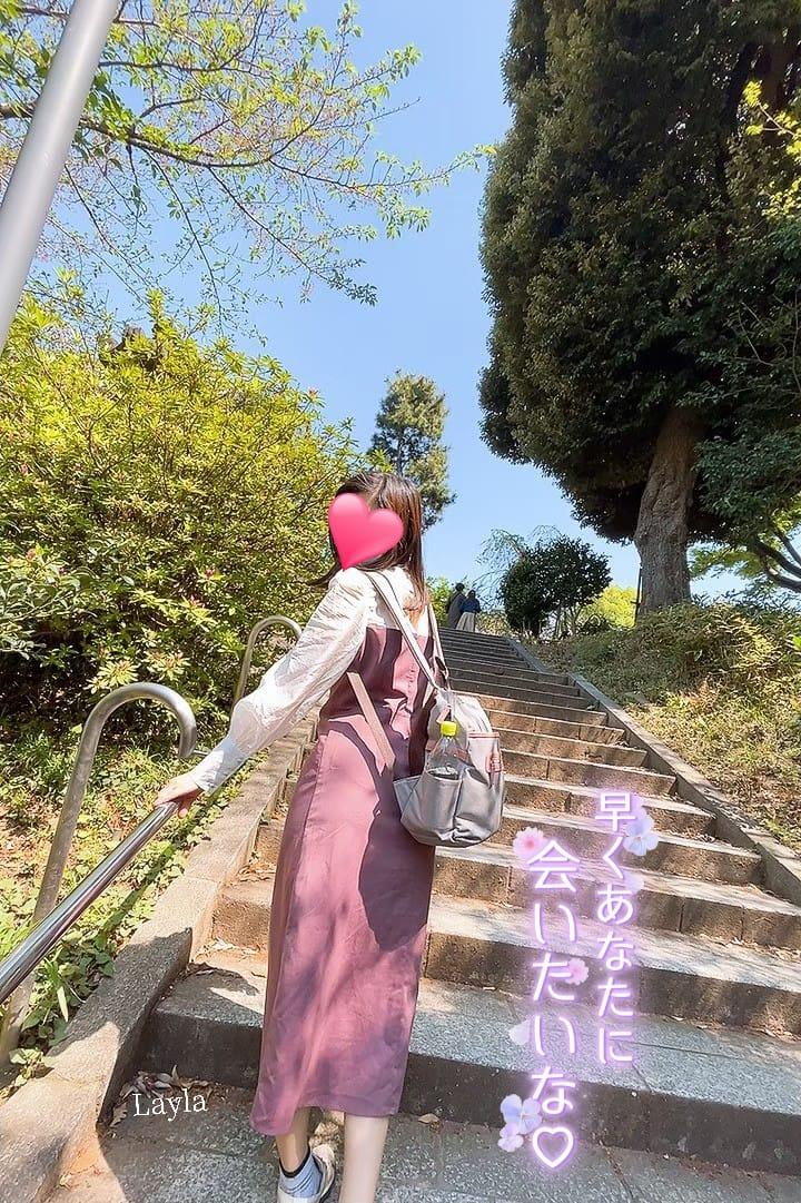 【旅行前の楽しみ方は