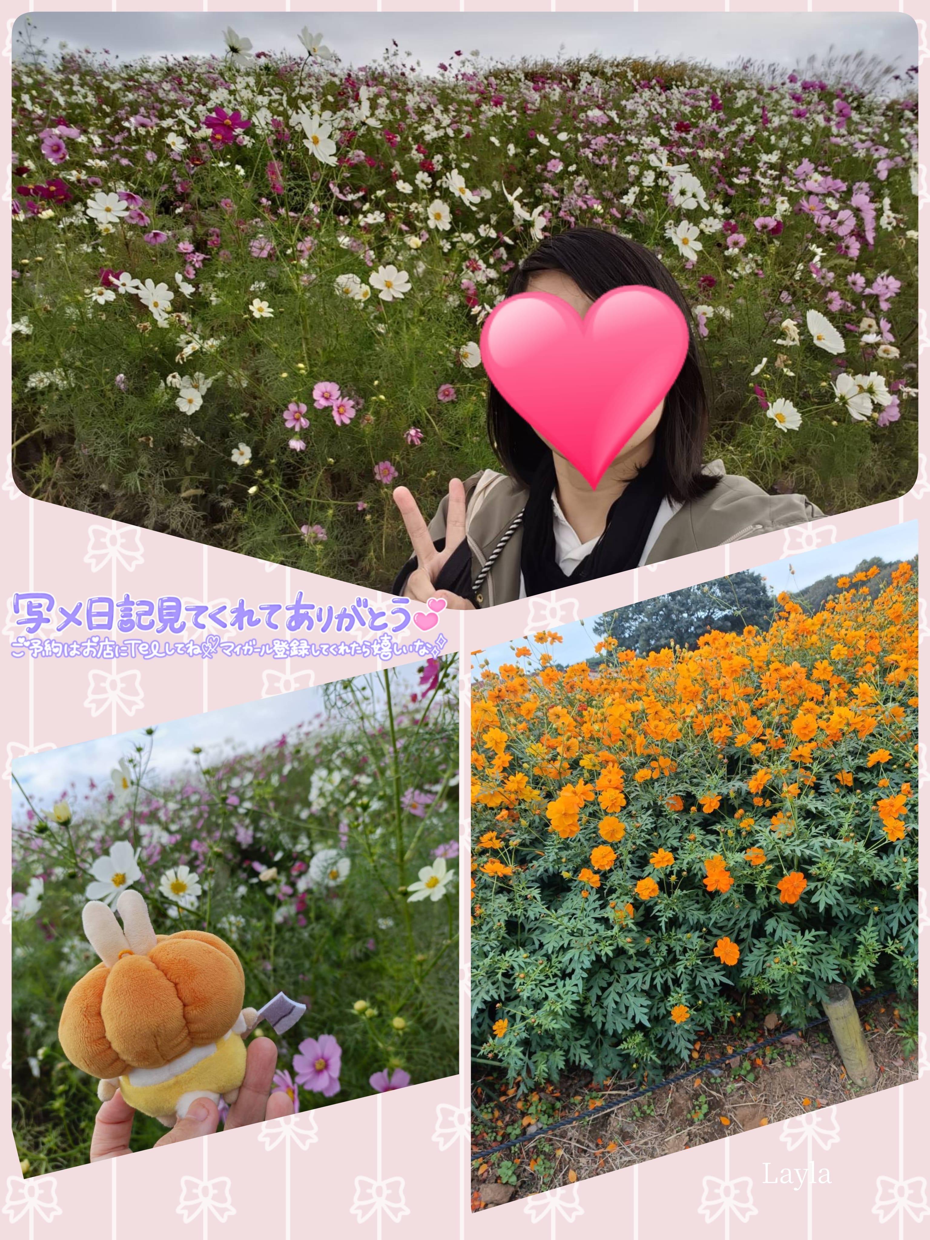 【マリモみたいな姿の…】