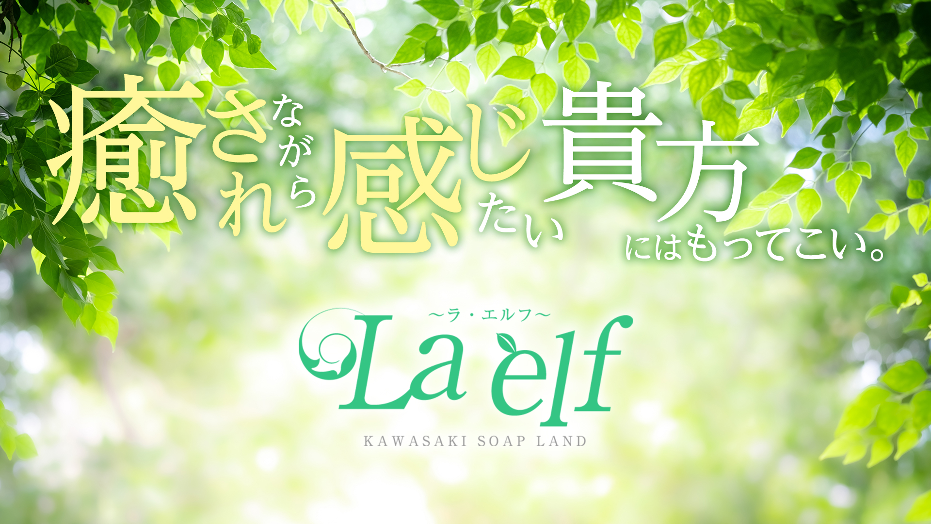 La・elf（ラ・エルフ）