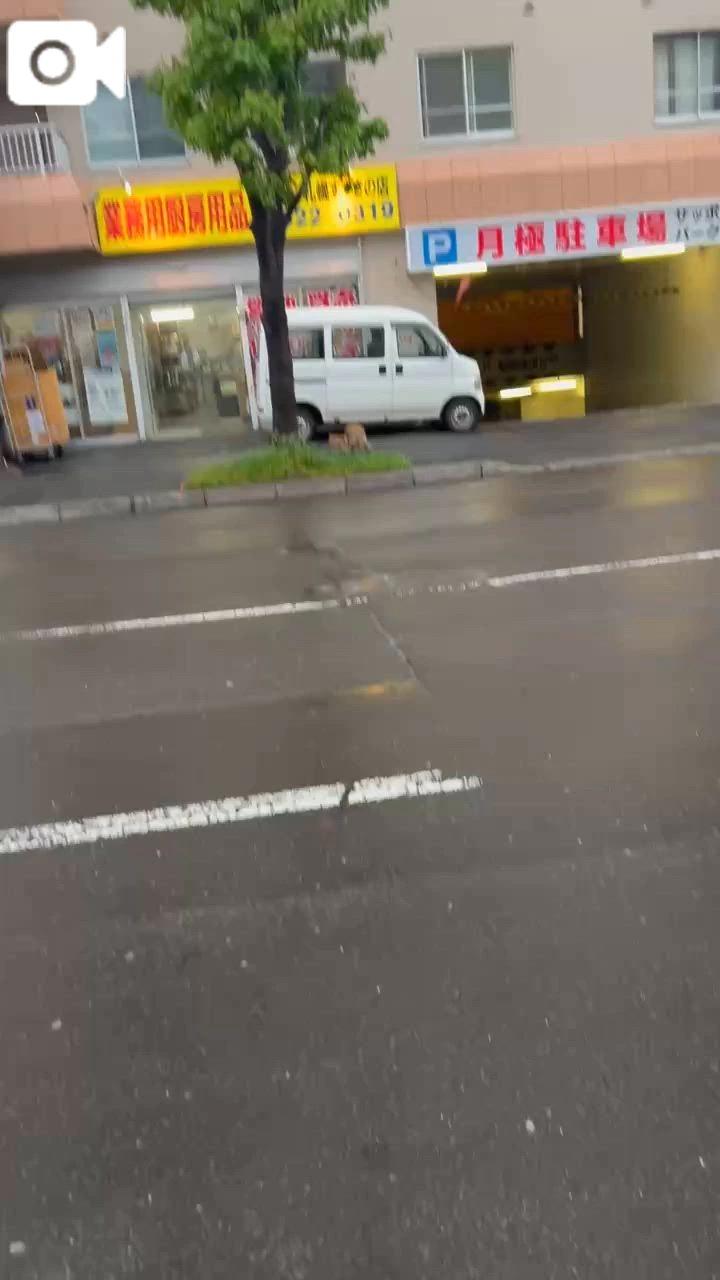 激久しぶり
