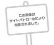 本日12時から🌷