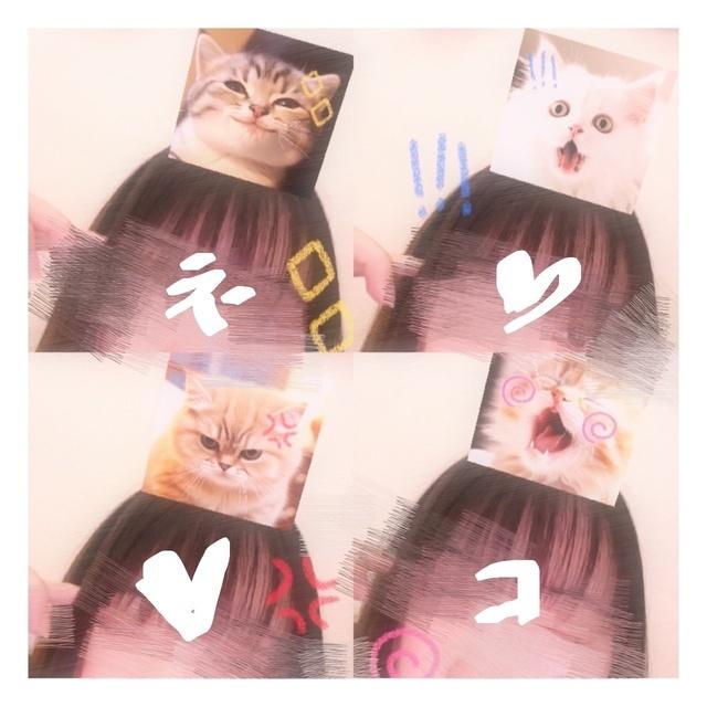 猫<img class="emojione" alt="🐱" title=":cat:" src="https://fuzoku.jp/assets/img/emojione/1f431.png"/>