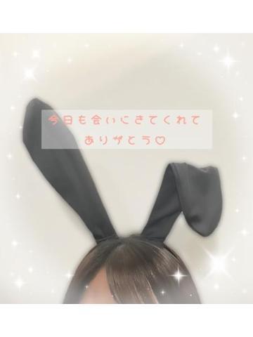 ありがとう<img class="emojione" alt="🐰" title=":rabbit:" src="https://fuzoku.jp/assets/img/emojione/1f430.png"/>