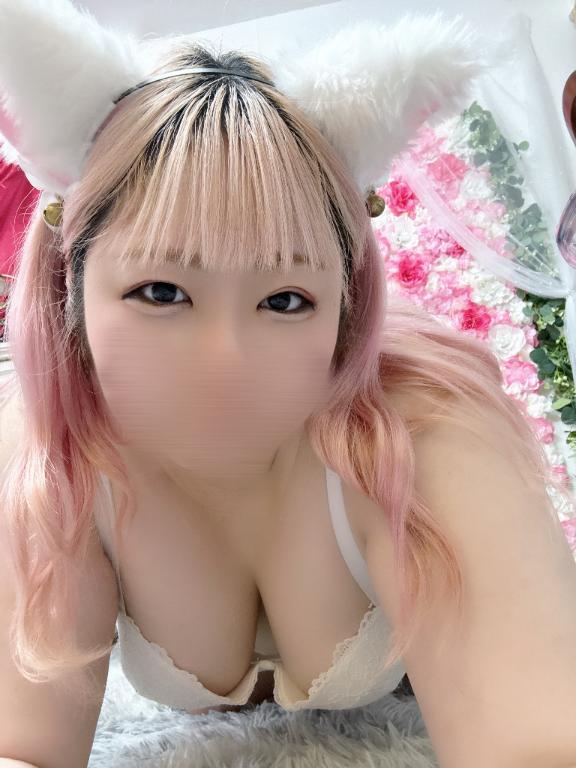 出勤しました<img class="emojione" alt="🐈" title=":cat2:" src="https://fuzoku.jp/assets/img/emojione/1f408.png"/>