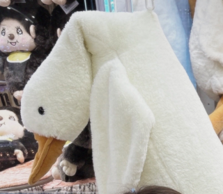 好きな人には🧸