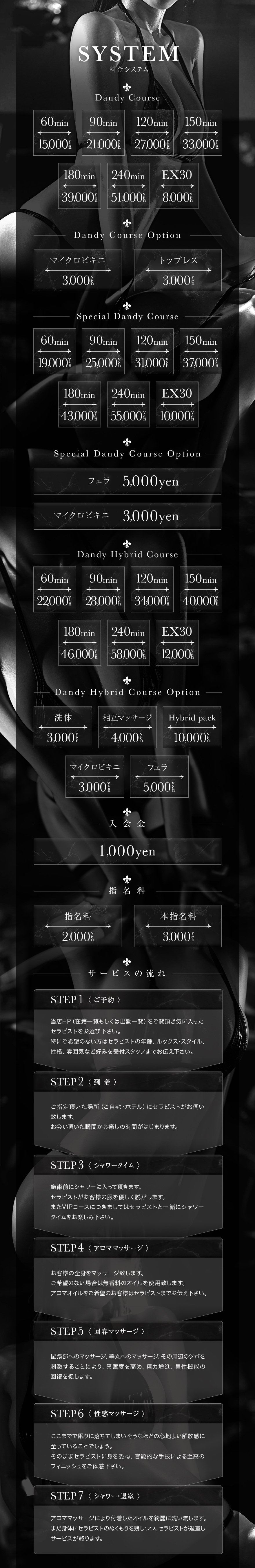 Mrs. Dandy＿料金システム1