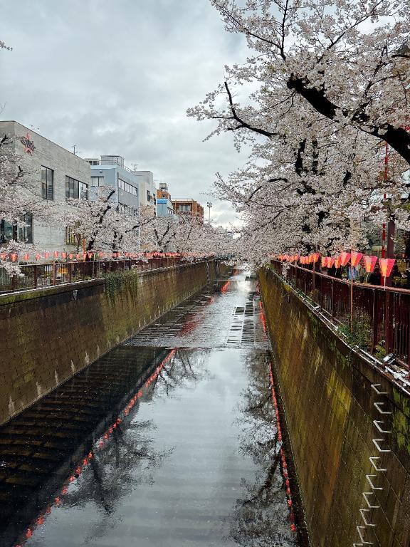 お花見<img class="emojione" alt="🌸" title=":cherry_blossom:" src="https://fuzoku.jp/assets/img/emojione/1f338.png"/>