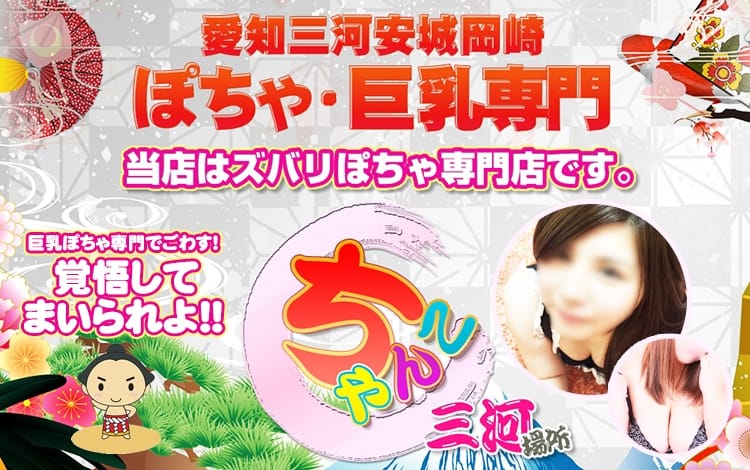 三河安城岡崎ちゃんこ