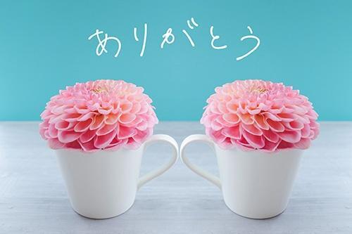 今日のお礼です<img class="emojione" alt="💌" title=":love_letter:" src="https://fuzoku.jp/assets/img/emojione/1f48c.png"/>