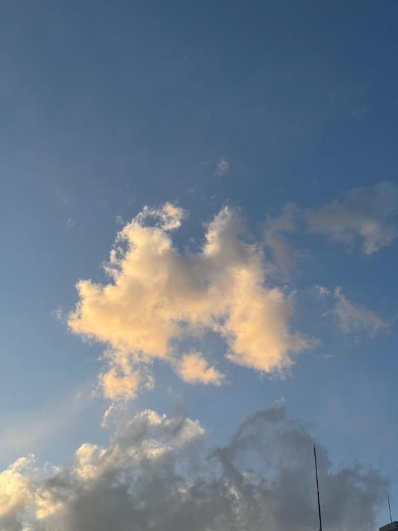 お礼<img class="emojione" alt="💌" title=":love_letter:" src="https://fuzoku.jp/assets/img/emojione/1f48c.png"/>