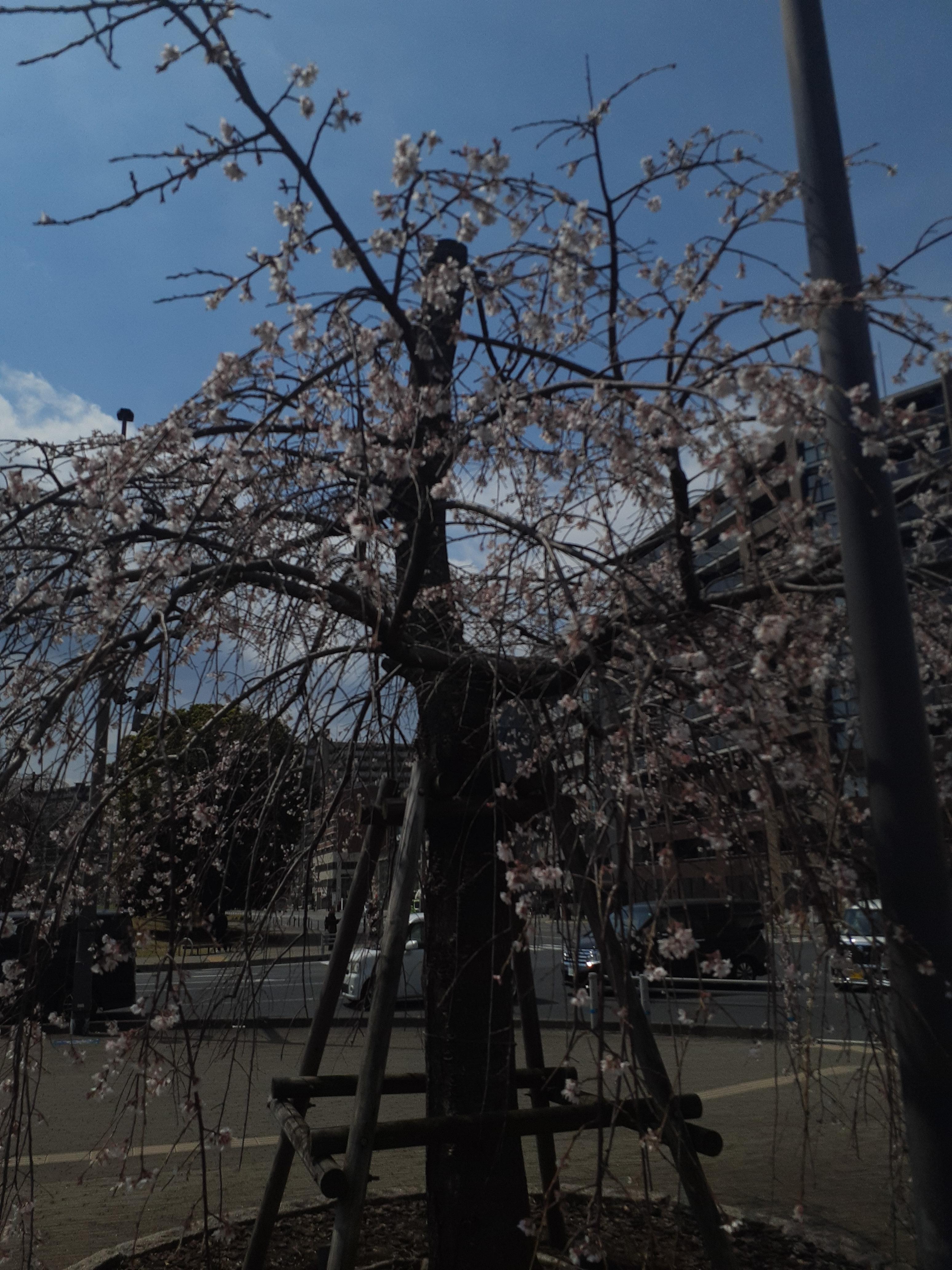 週末