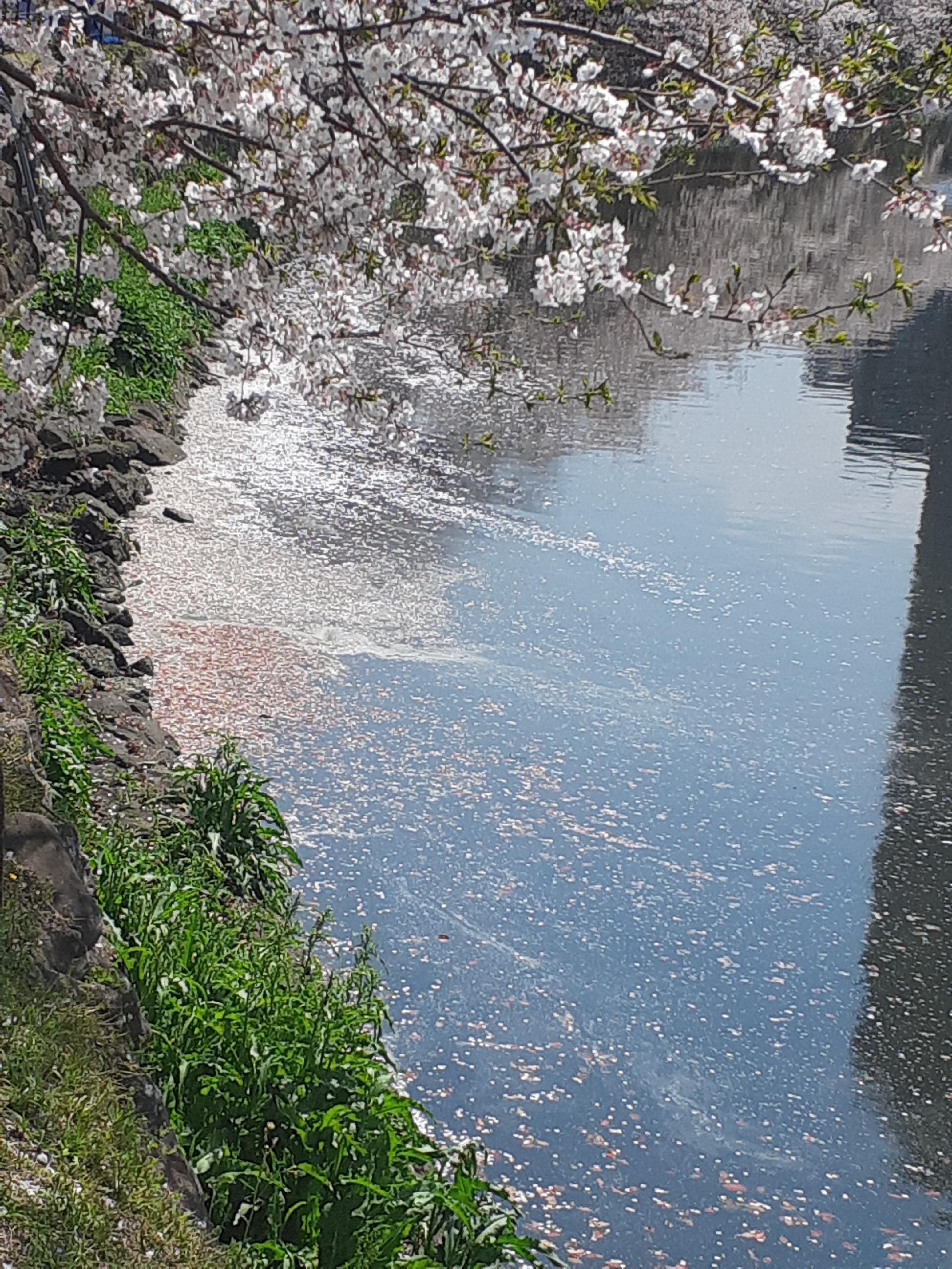 出勤中