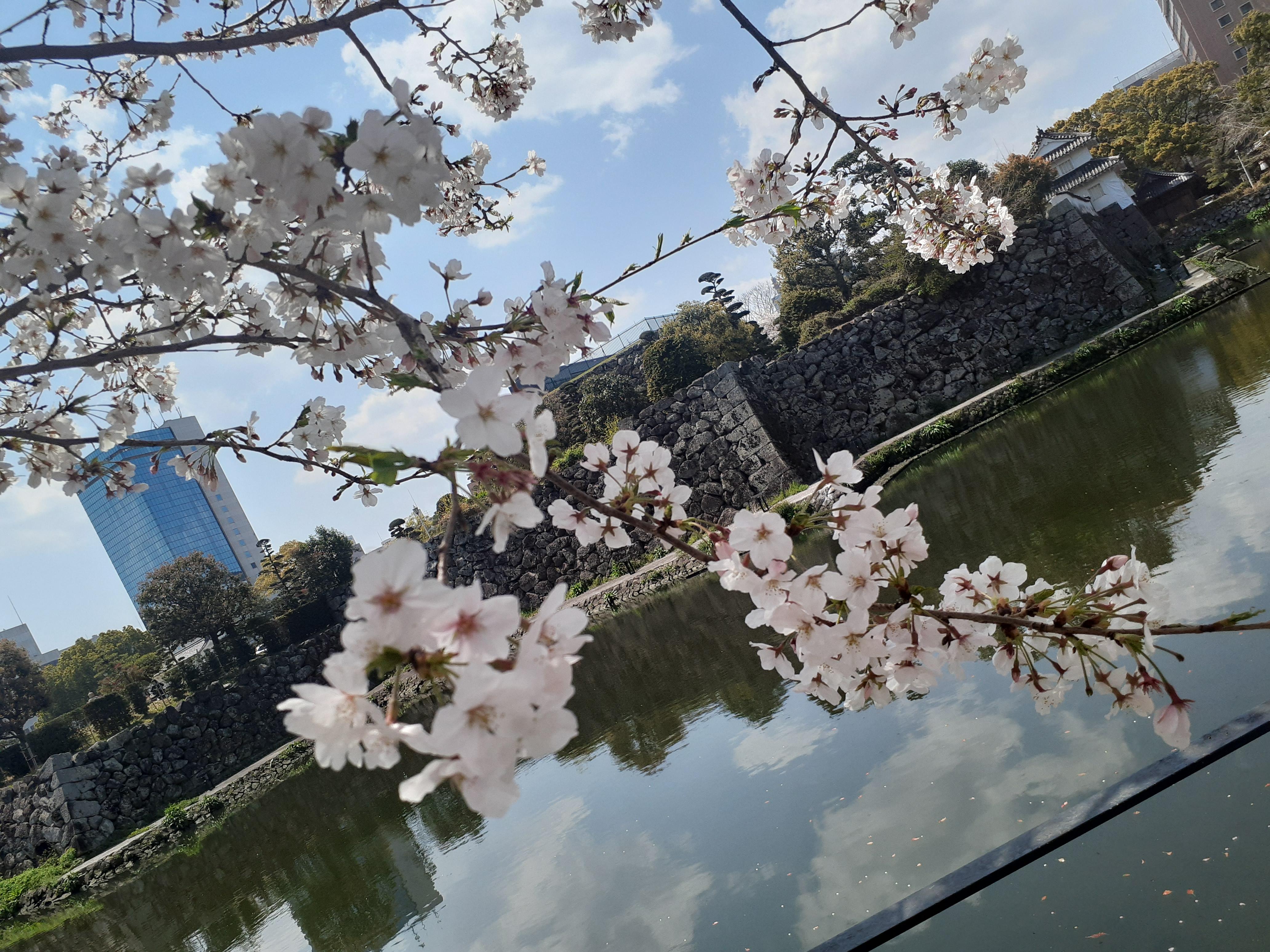 金曜日