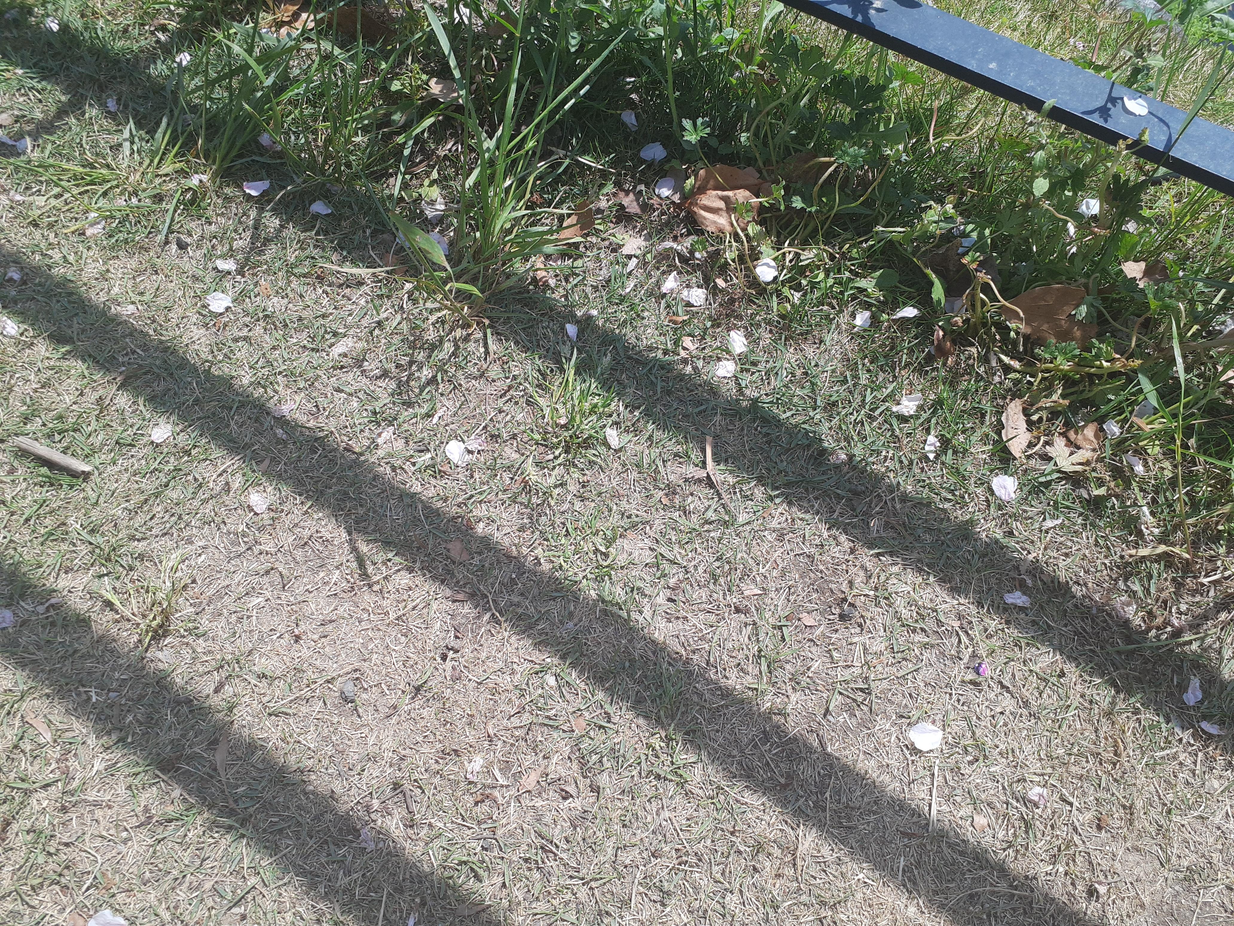 昨日のお礼