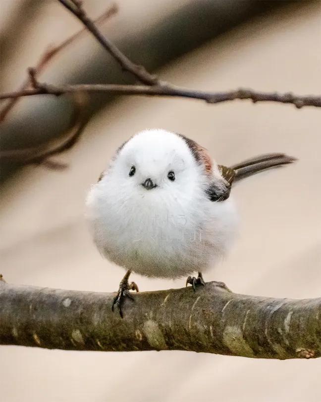 週末
