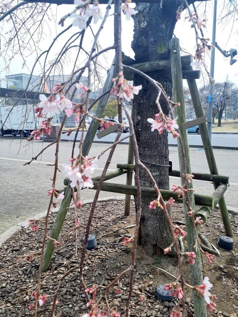 4月