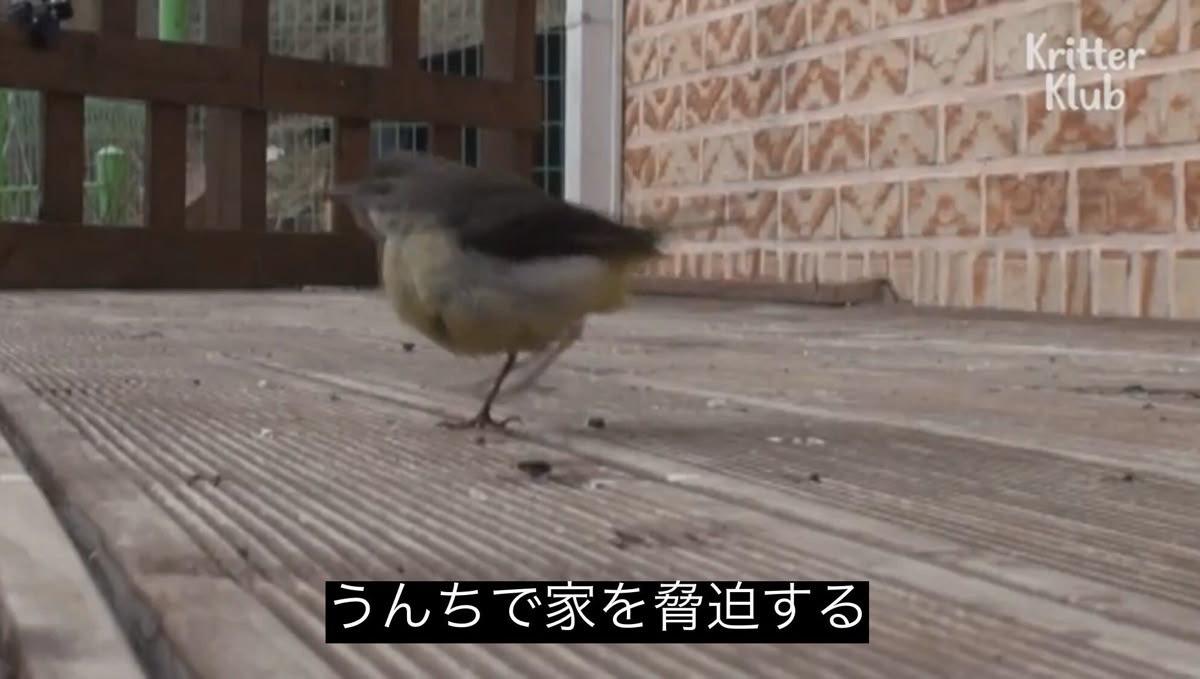 歯医者にエロを見出す