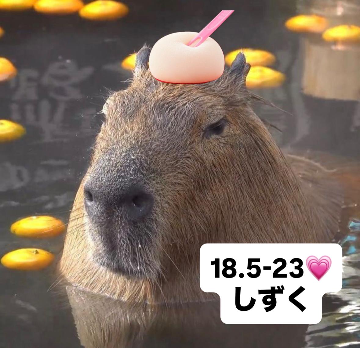 出勤しました！