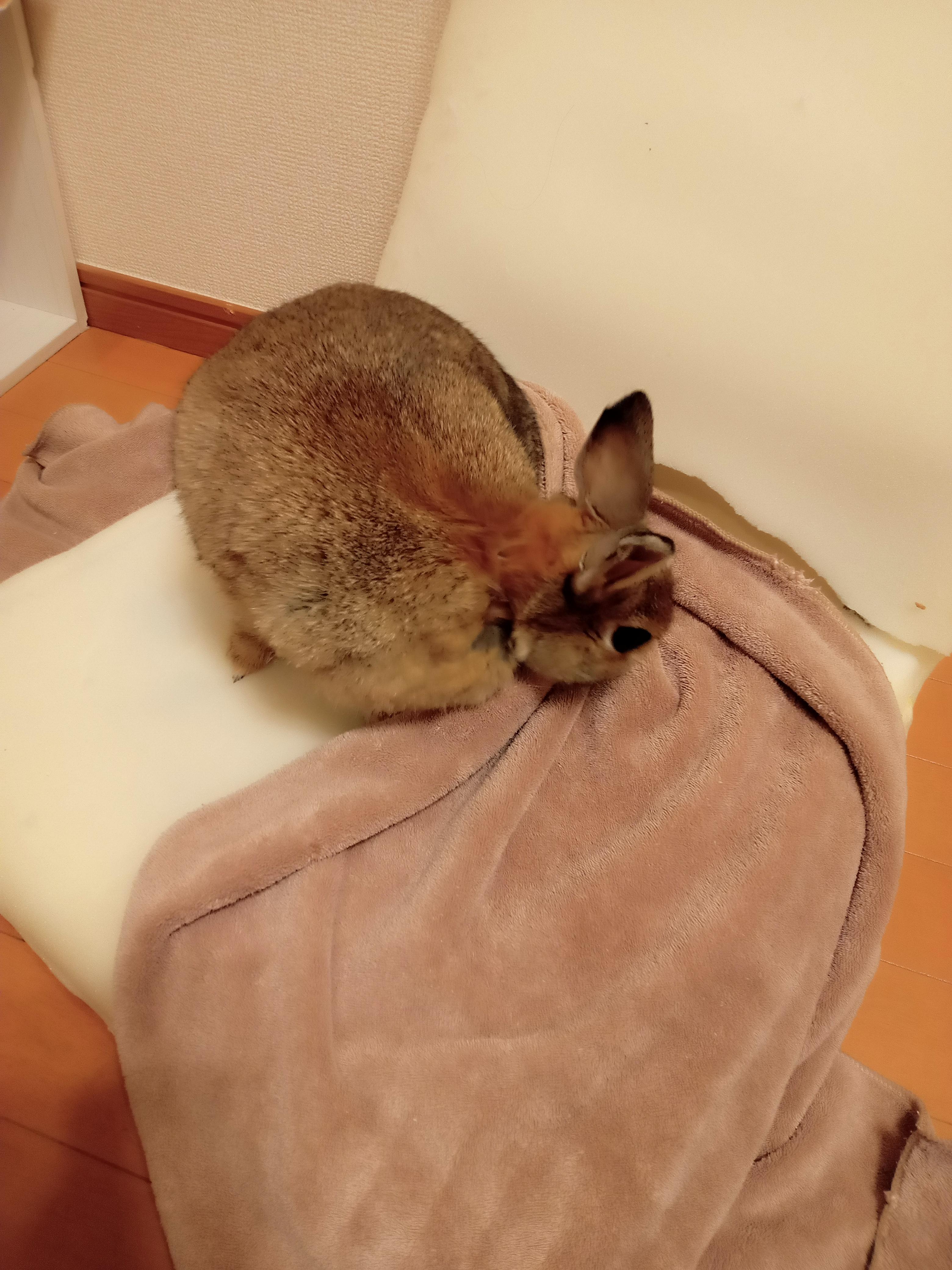 (*´ω｀*)<img class="emojione" alt="🔆" title=":high_brightness:" src="https://fuzoku.jp/assets/img/emojione/1f506.png"/>