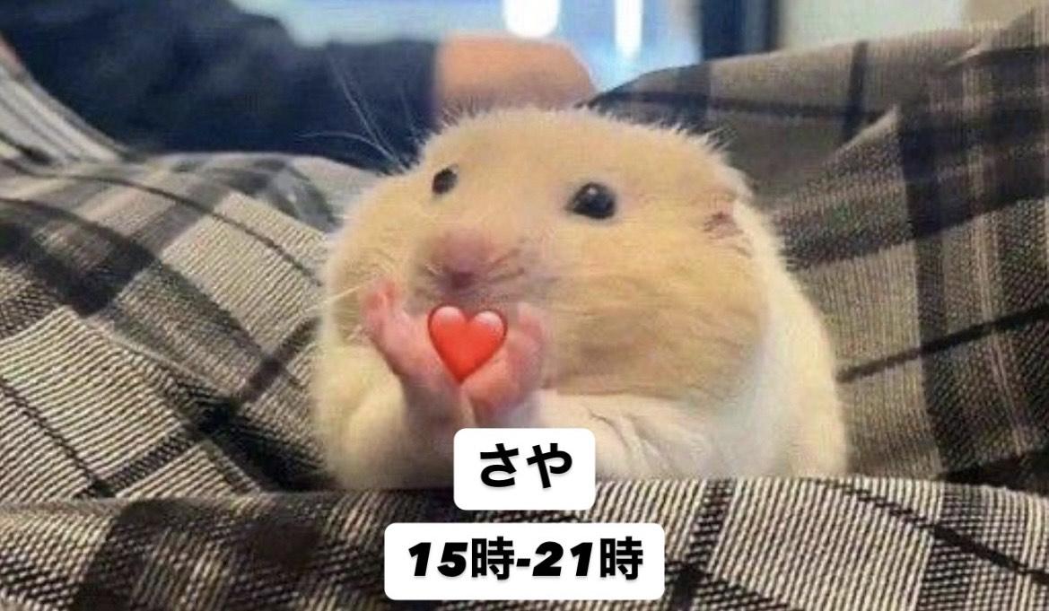 いるよー！
