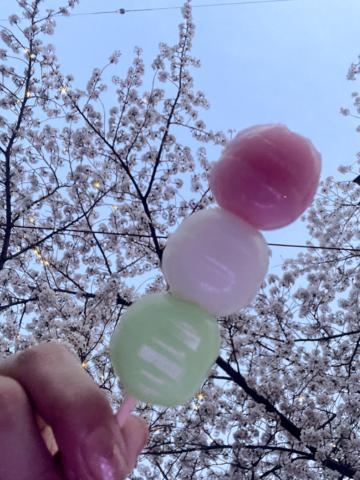桜<img class="emojione" alt="🌸" title=":cherry_blossom:" src="https://fuzoku.jp/assets/img/emojione/1f338.png"/>