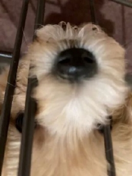 本日も