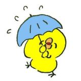 <img class="emojione" alt="☔" title=":umbrella:" src="https://fuzoku.jp/assets/img/emojione/2614.png"/><img class="emojione" alt="🐸" title=":frog:" src="https://fuzoku.jp/assets/img/emojione/1f438.png"/>