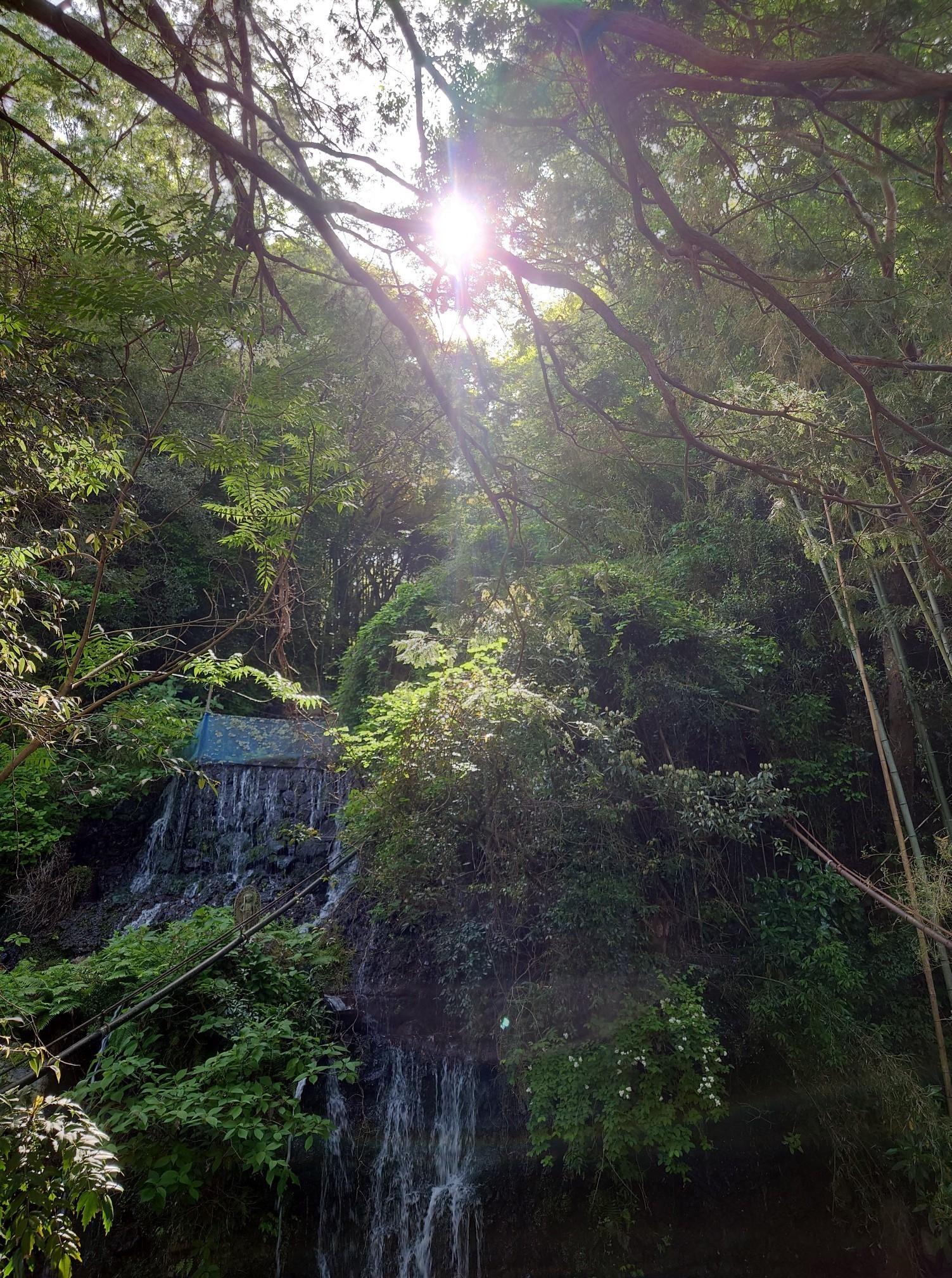 <img class="emojione" alt="🌳" title=":deciduous_tree:" src="https://fuzoku.jp/assets/img/emojione/1f333.png"/>
