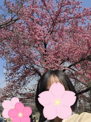 舞桜～<img class="emojione" alt="🌸" title=":cherry_blossom:" src="https://fuzoku.jp/assets/img/emojione/1f338.png"/>