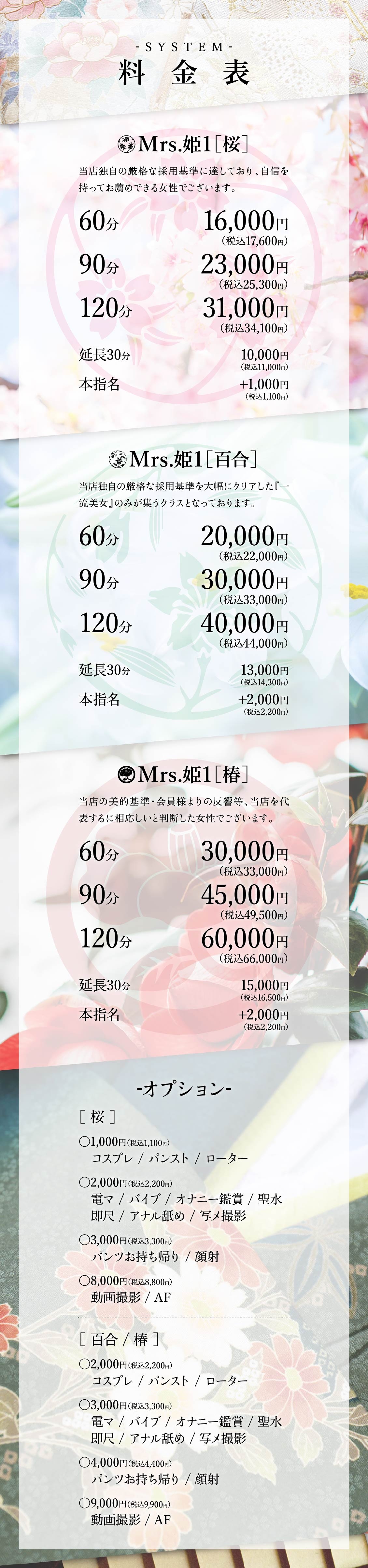 Mrs.姫1＿料金システム1