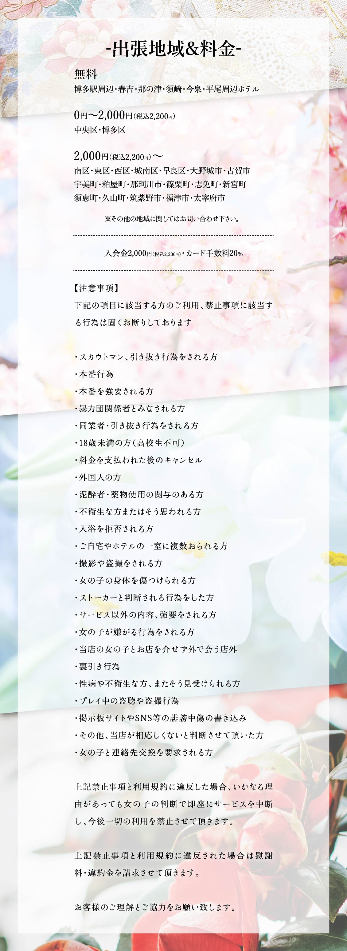 Mrs.姫1＿料金システム2