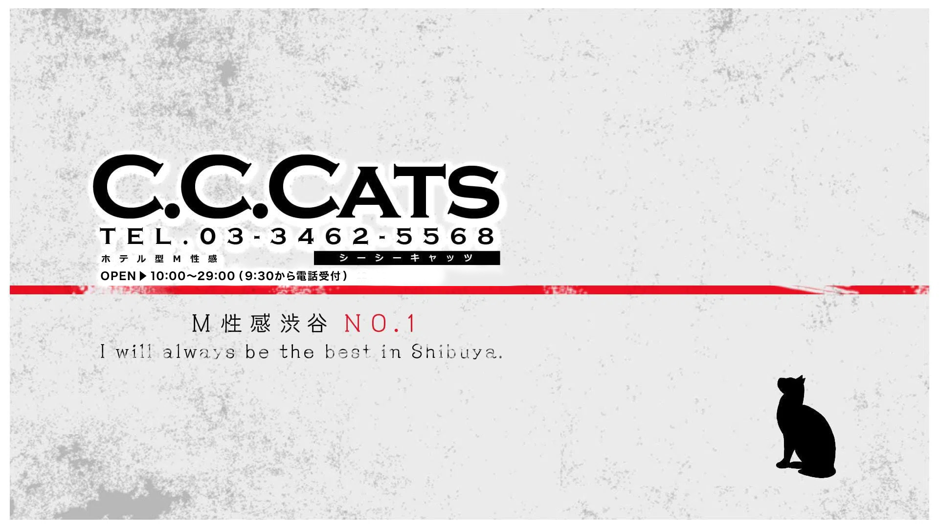 C.C.Cats（シーシーキャッツ）
