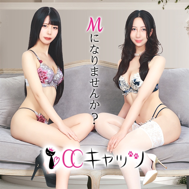 CCキャッツ