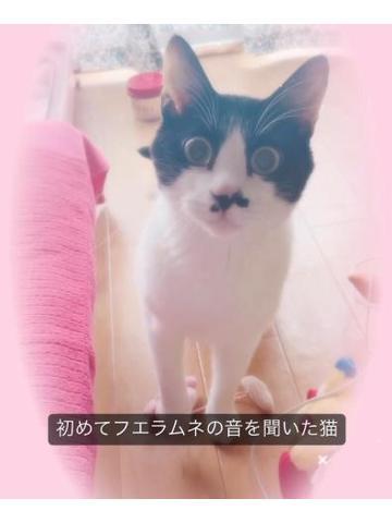 ♡<img class="emojione" alt="😺" title=":smiley_cat:" src="https://fuzoku.jp/assets/img/emojione/1f63a.png"/>♡
