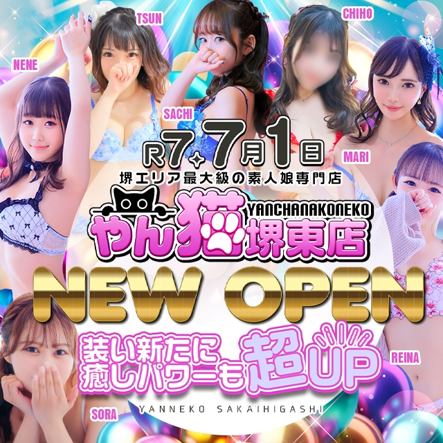 やんちゃな子猫堺東店