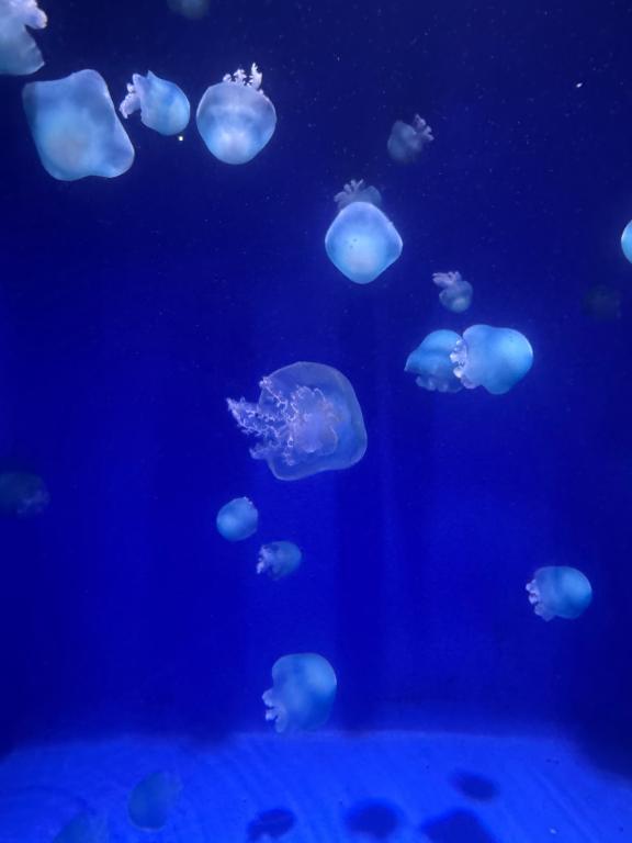 お休みって大事だね<img class="emojione" alt="❤️" title=":heart:" src="https://fuzoku.jp/assets/img/emojione/2764.png"/>‍🩹