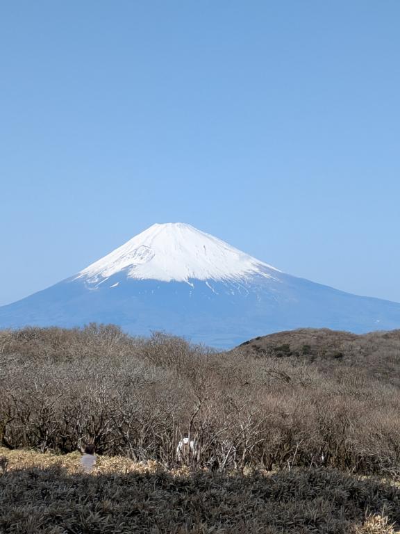 出勤<img class="emojione" alt="🌸" title=":cherry_blossom:" src="https://fuzoku.jp/assets/img/emojione/1f338.png"/>