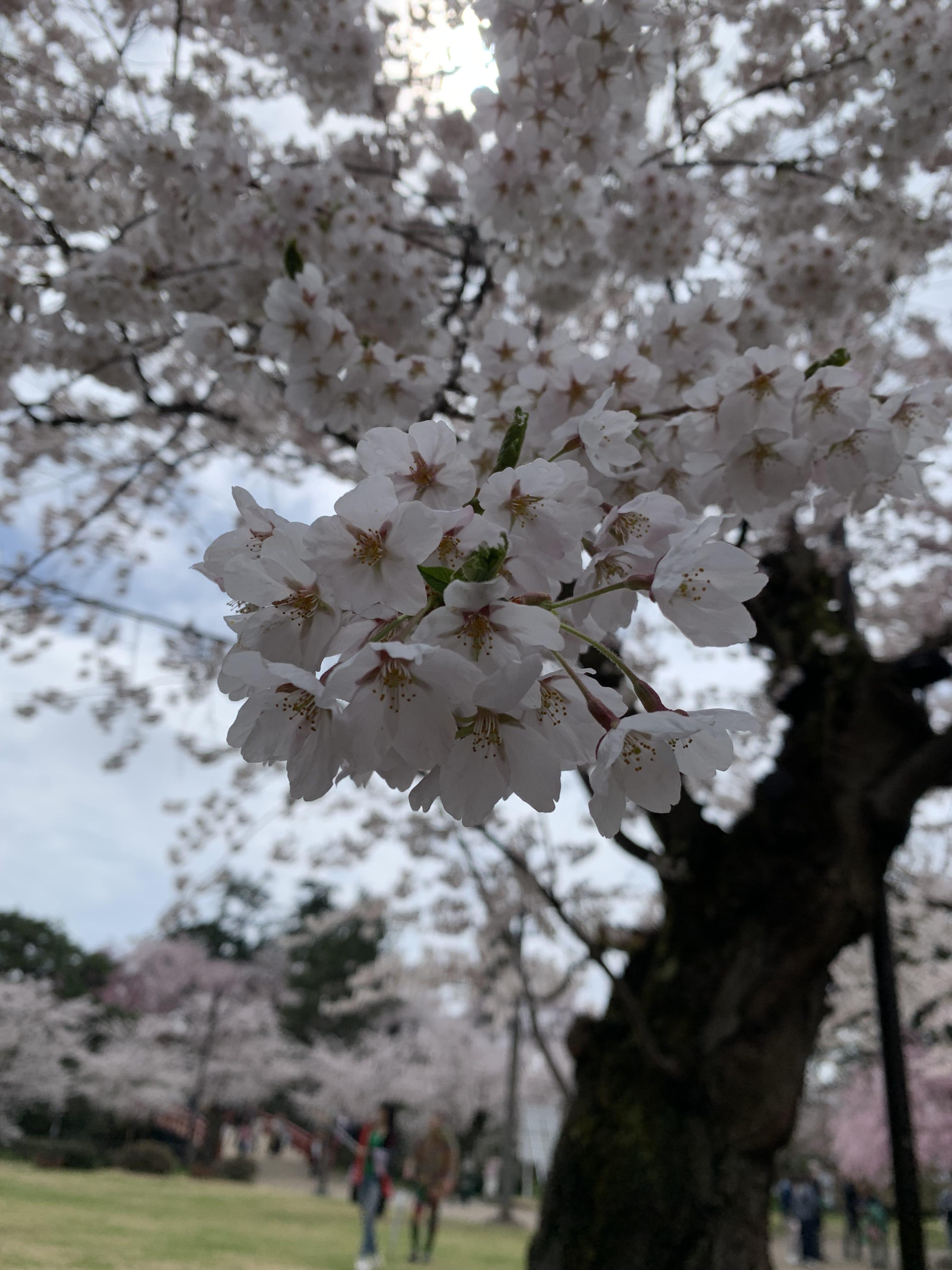 出勤してます