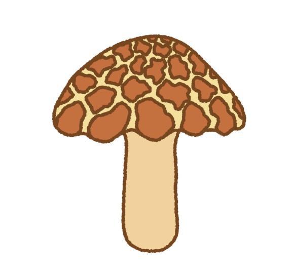 11月14日 <img class="emojione" alt="🍄" title=":mushroom:" src="https://fuzoku.jp/assets/img/emojione/1f344.png"/>ふたたび